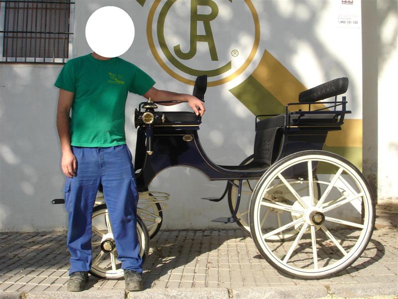 Faeton Cortos Para Ponys